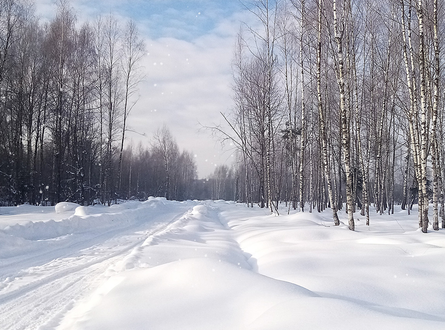 Сайт поселка