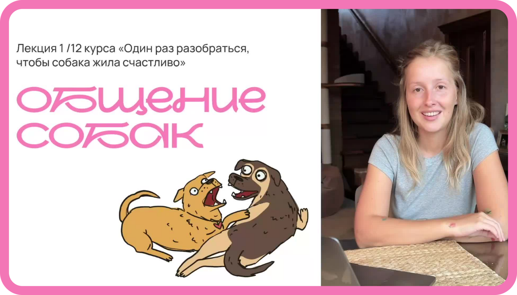 Всё про общение собак