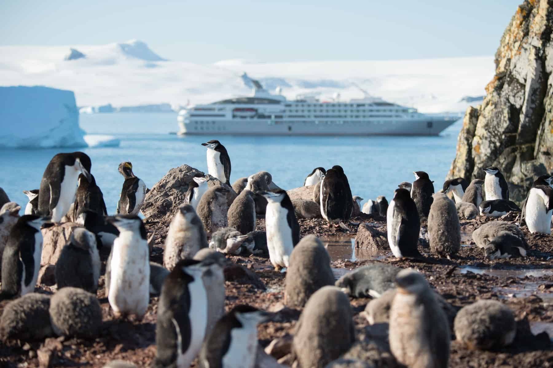 Cruise Antarctica