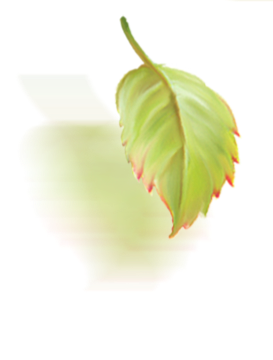 Листик в подвале