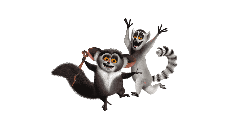 Приглашение на День рождения Лемуры