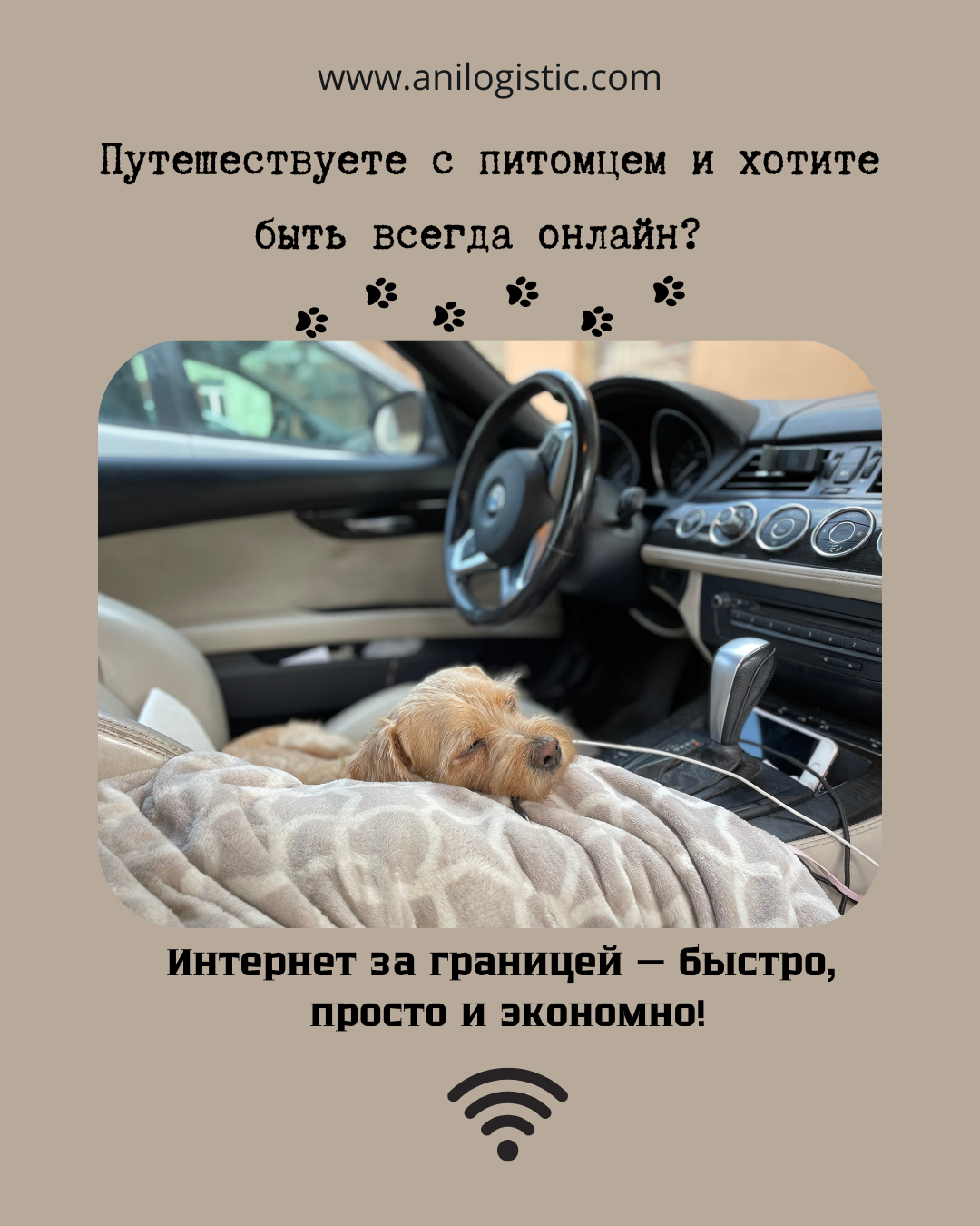 Цифровая eSIM для интернета за границей — удобно в путешествиях с питомцем