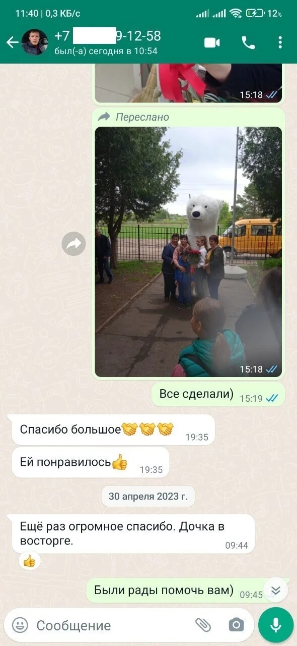 медведь на дом сюрприз