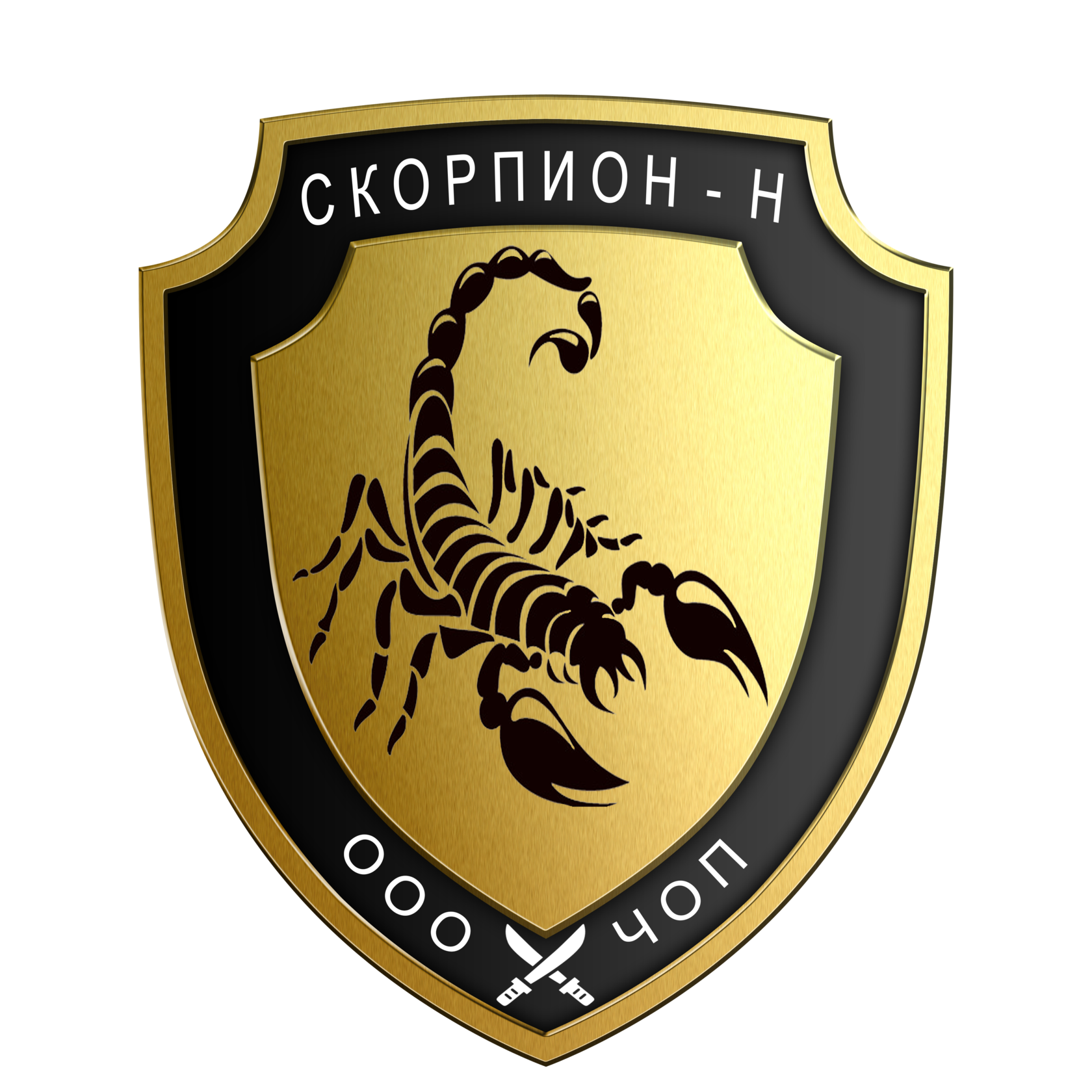 Ооо чоп проект