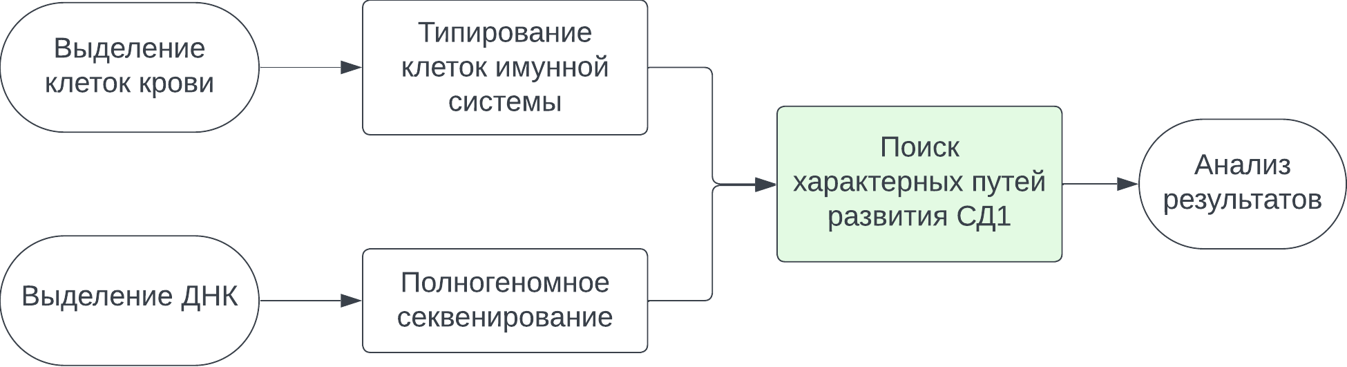 CLN001 Патогенез СД1