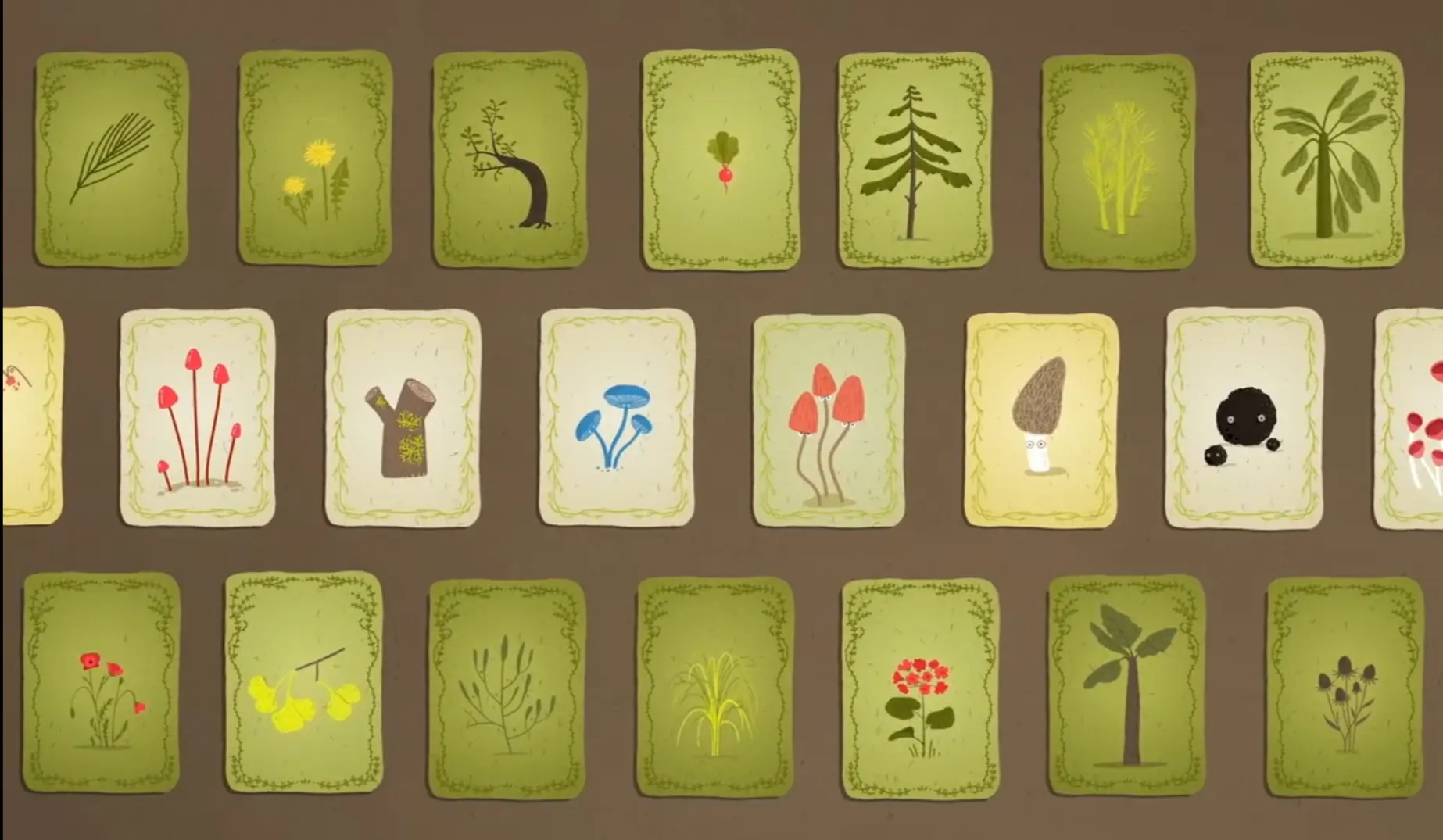 Fungi lesson
