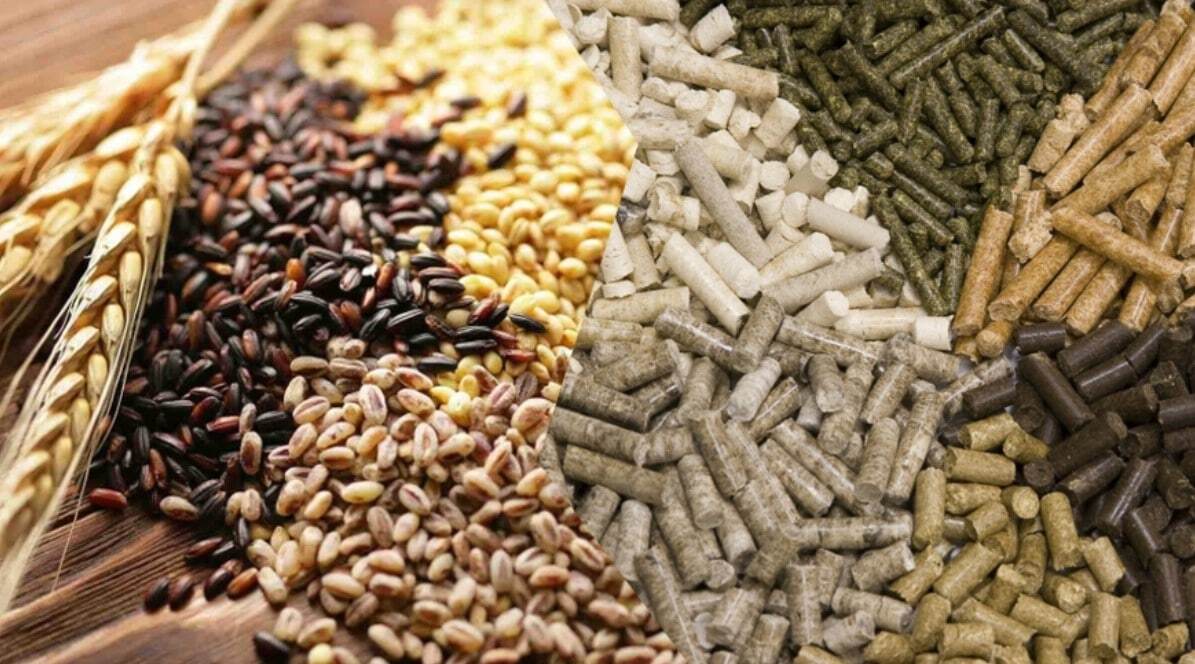 Кормовые добавки