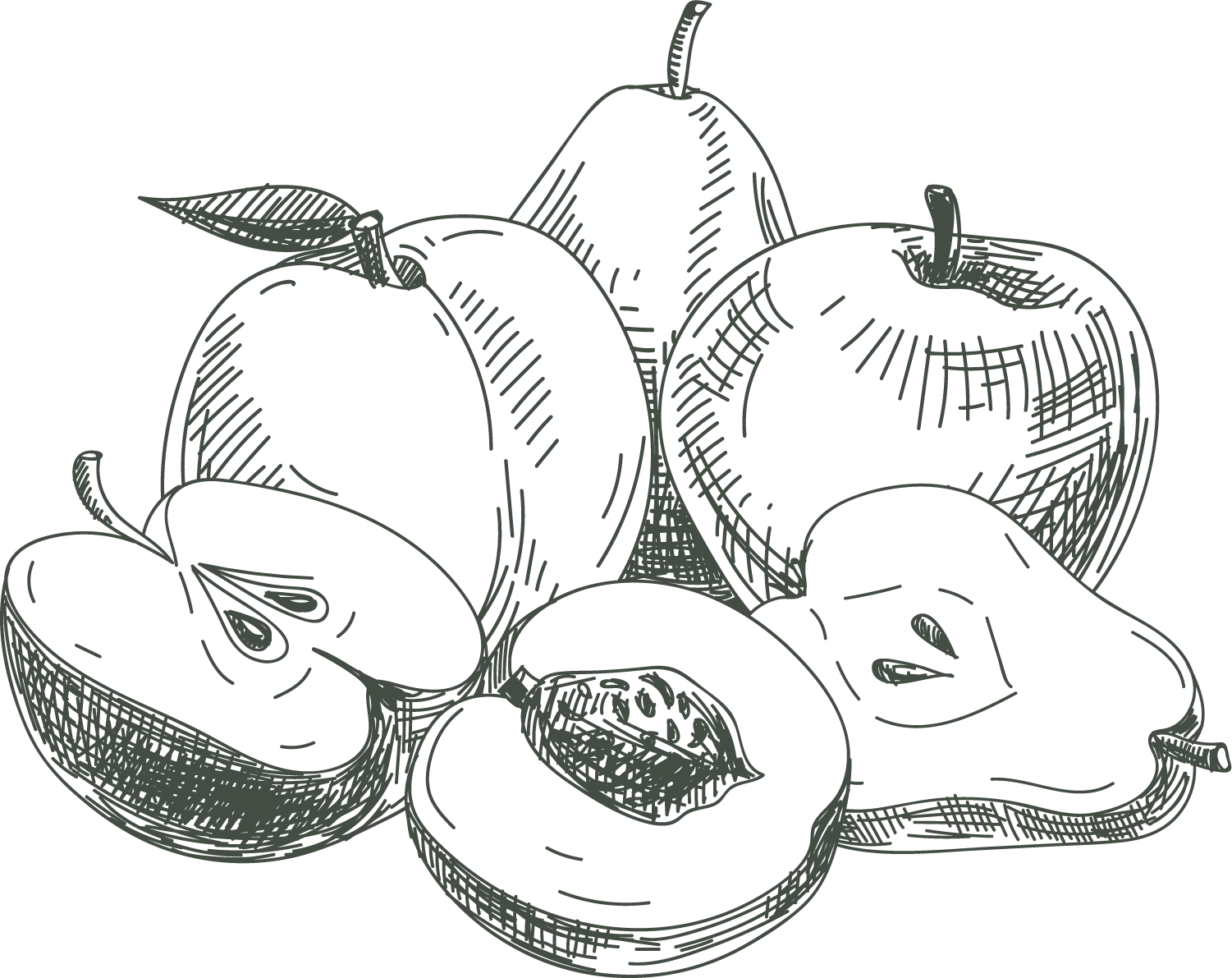 Рисунки черно белые фрукты