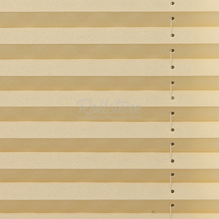 Анже апельсин