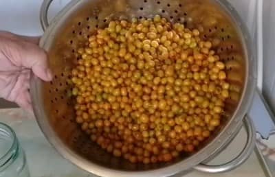 Приготовление варенья из облепихи на зиму: шаг 2