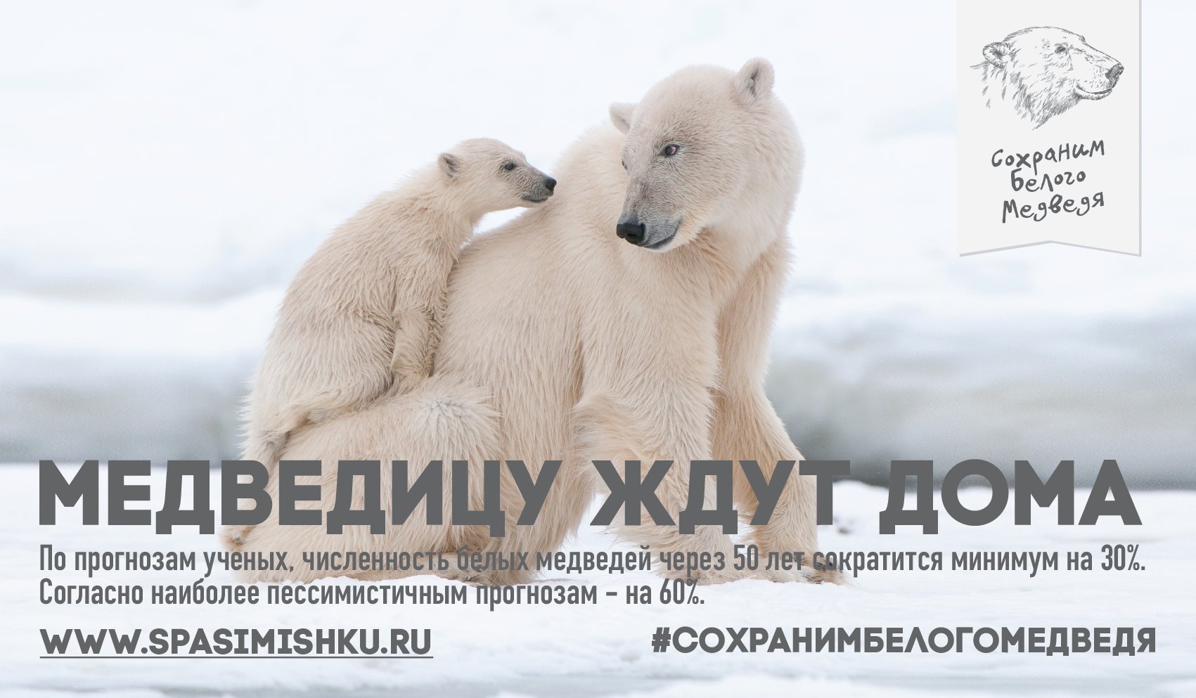 Сохраним белого медведя