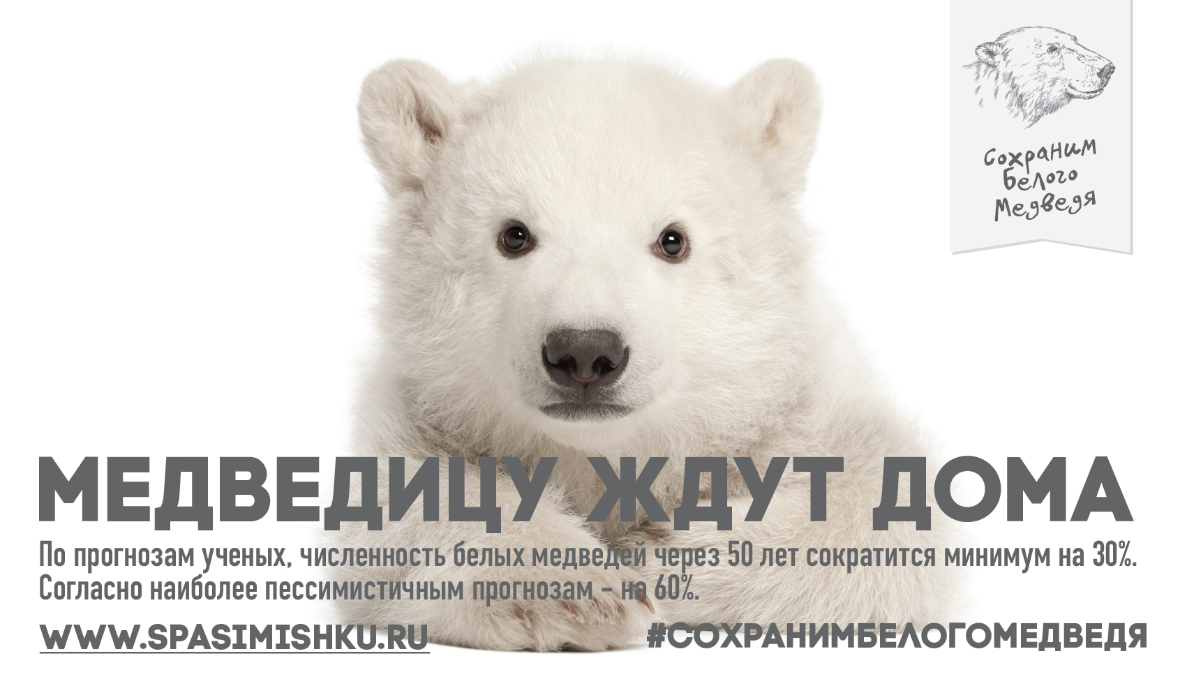 Интернет Магазин Днр Белый Медведь