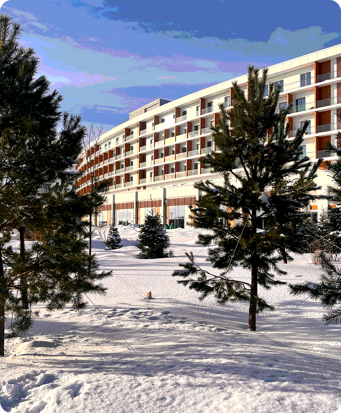 Кейс 1 — превью