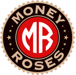 website icon