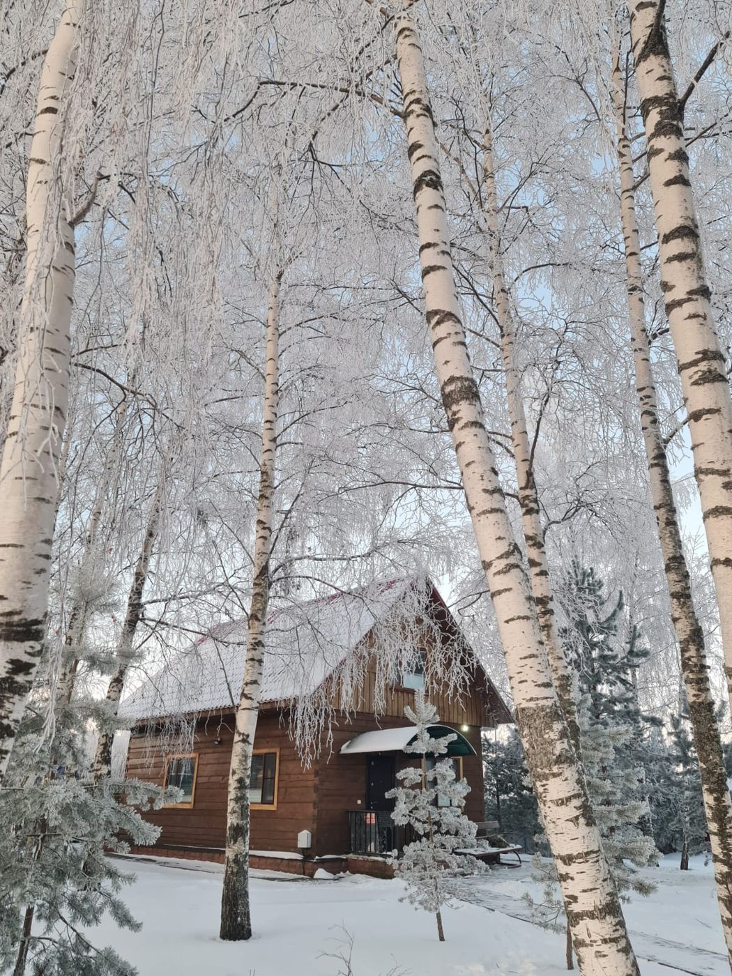 Зимний лес и домики