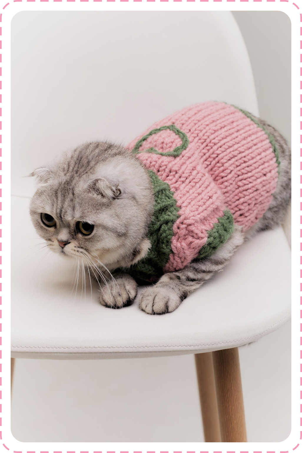 Свитер «Сердечко» для кота