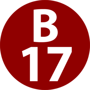 website icon