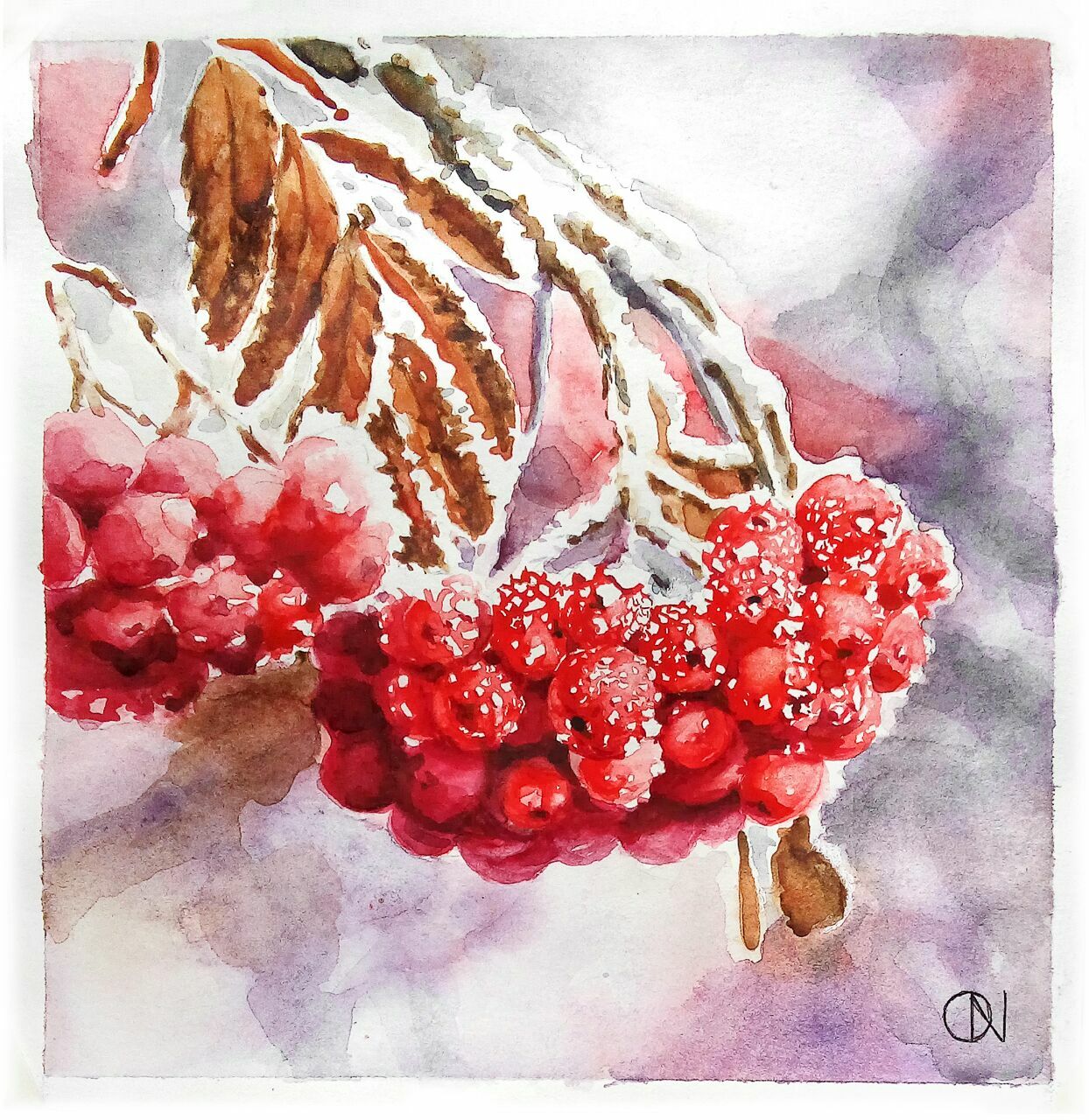 иллюстрации акварелью в Одессе