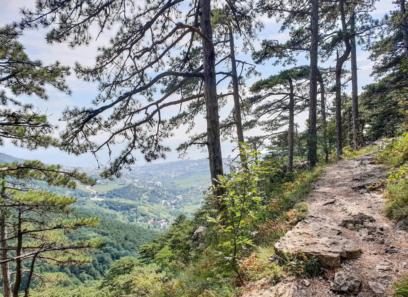 Боткинская тропа и кипарисы