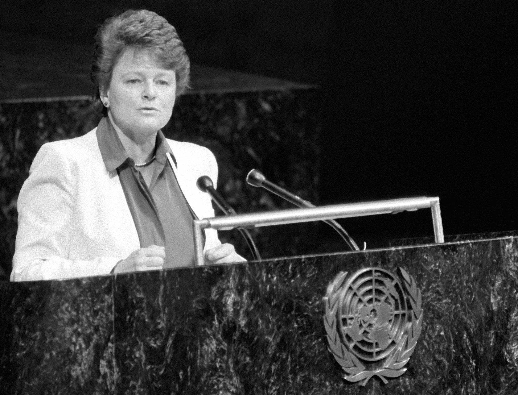 Реферат: Конференция ООН в Рио-де-Жанейро 1992 год. Повестка дня на 21 век