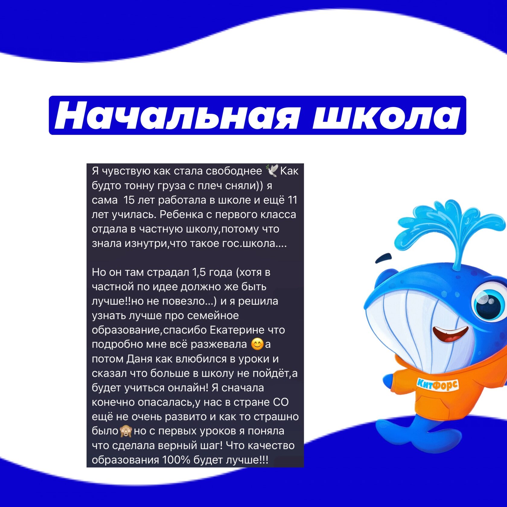 КитФорс