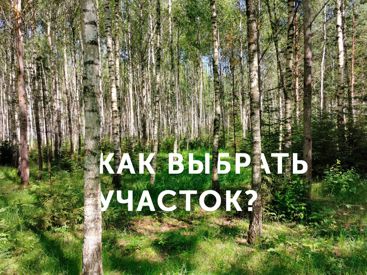 Как выбрать участок?