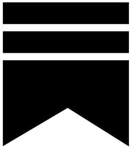 website icon