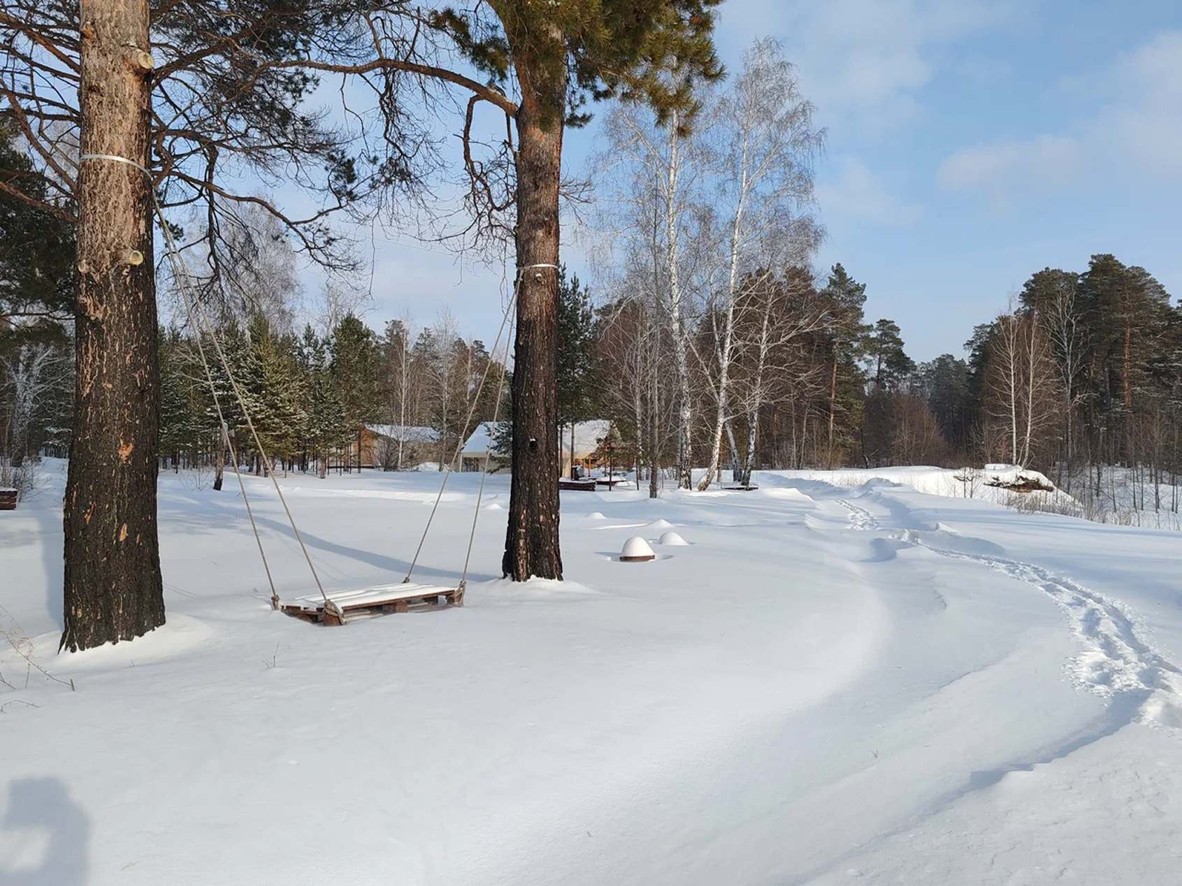 Зимний лес