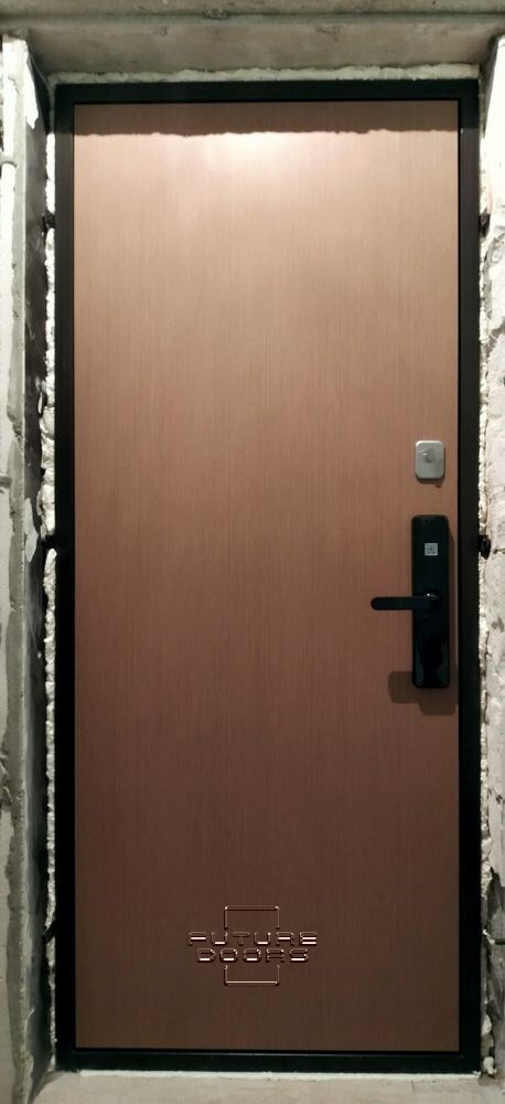 Умные электронные двери будущего с замками Xiaomi | futuredoors.ru
