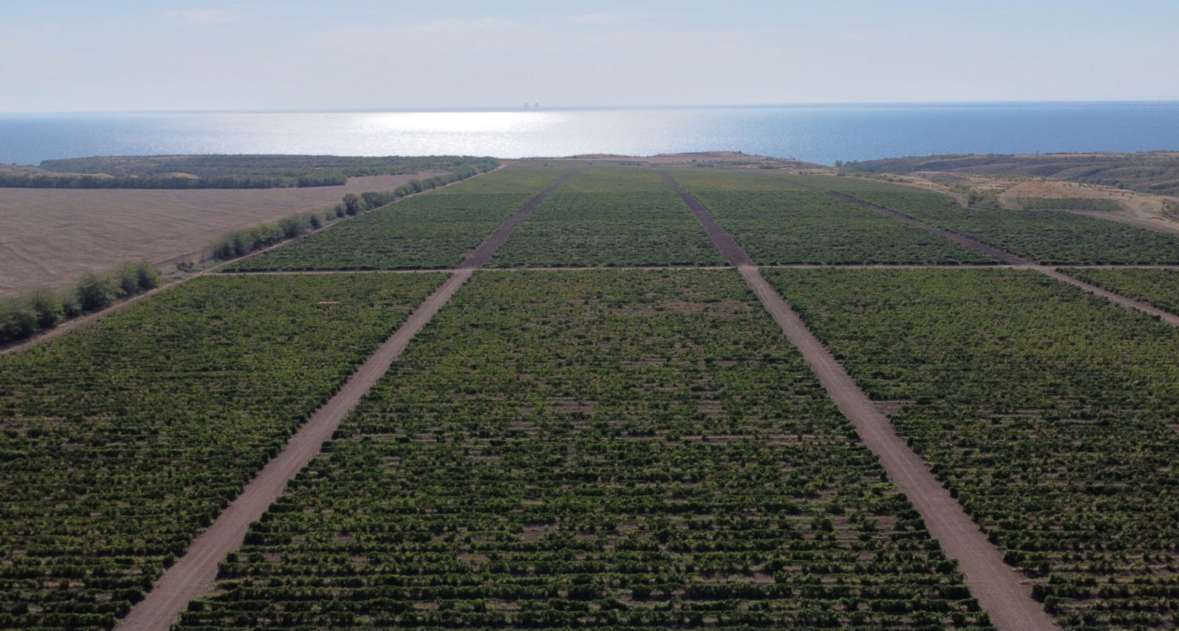 Цимлянская 39 адлер. Цимлянский район хутор крутой. Адлер цимлянская карта. Цимлянское ставропольский край. Совхоз цимлянский.