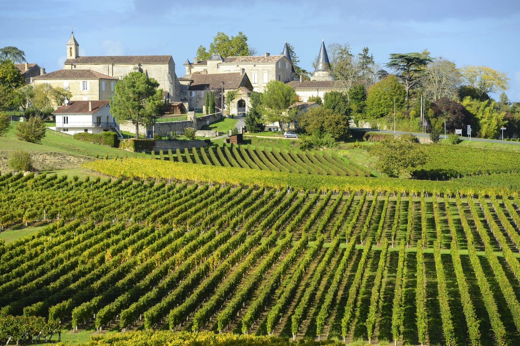 Сент-Эмильон Франция виноградники