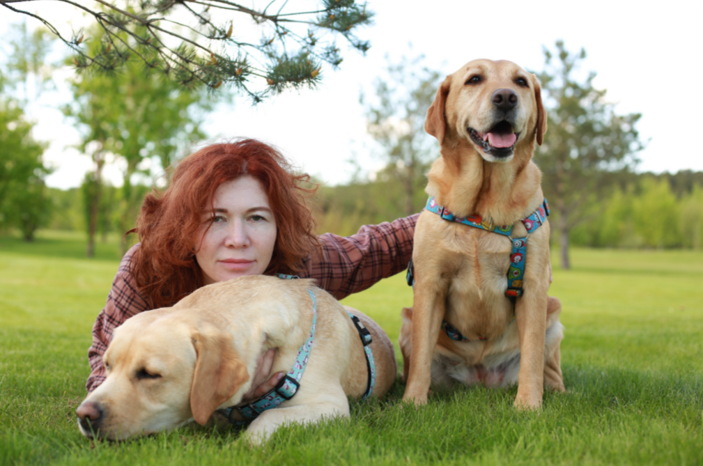 <div style="font-size: 20px;" data-customstyle="yes"><span style="color: rgb(148, 50, 50);">Я - дипломированный специалист по поведению животных, зоопсихолог, кинолог, имею вет. образование, специализируюсь в ветеринарной реабилитологии</span></div>