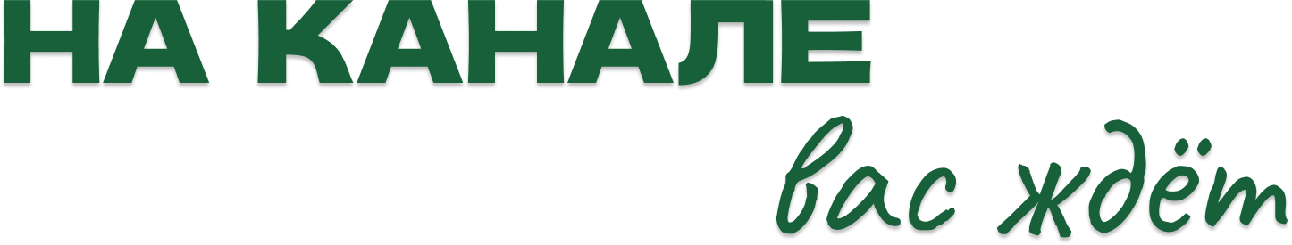 На канале вас ждёт