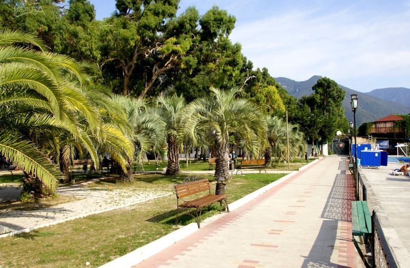 Отдых в Абхазии, отдых в Алахадзы, путешествие, море, солнце, пляж, природа, отели, гостиницы, частный сектор, квартиры. Онлайн бронирование жилья в Абхазии.