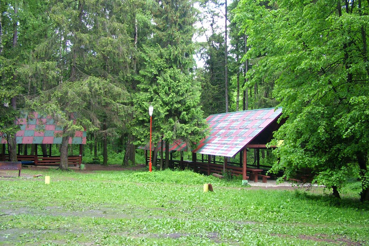 Дом 4 лагерь. Парк отель Покровское. Лагерь в лесу. Лагерь домики.