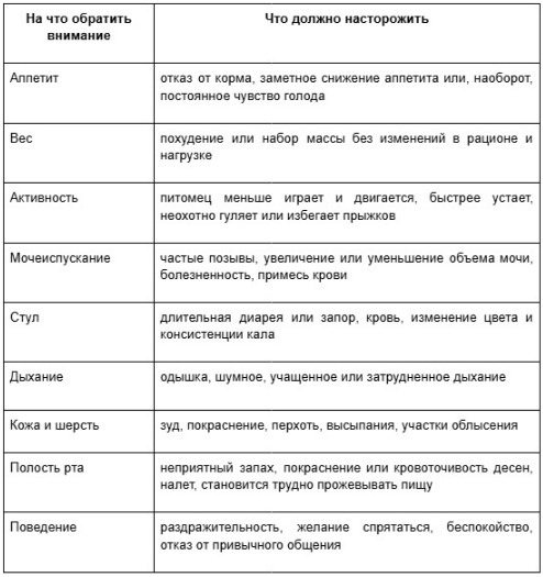 критерии и признаки изменения состояния питомца