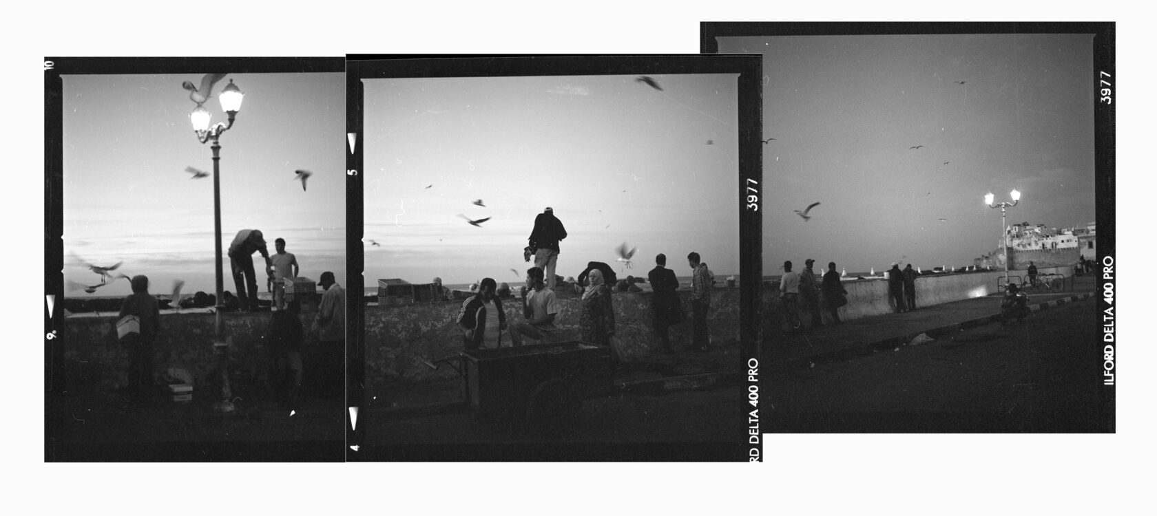Evening on the "fish" embankment. Essaouira. Morocco. BW negative 6x6