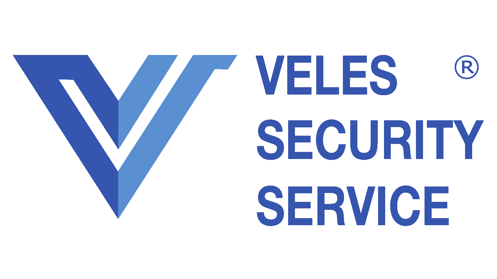 Veles Security Service