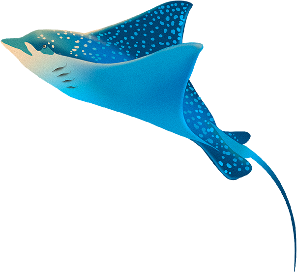 Директ мейлинг и партизанский маркетинг