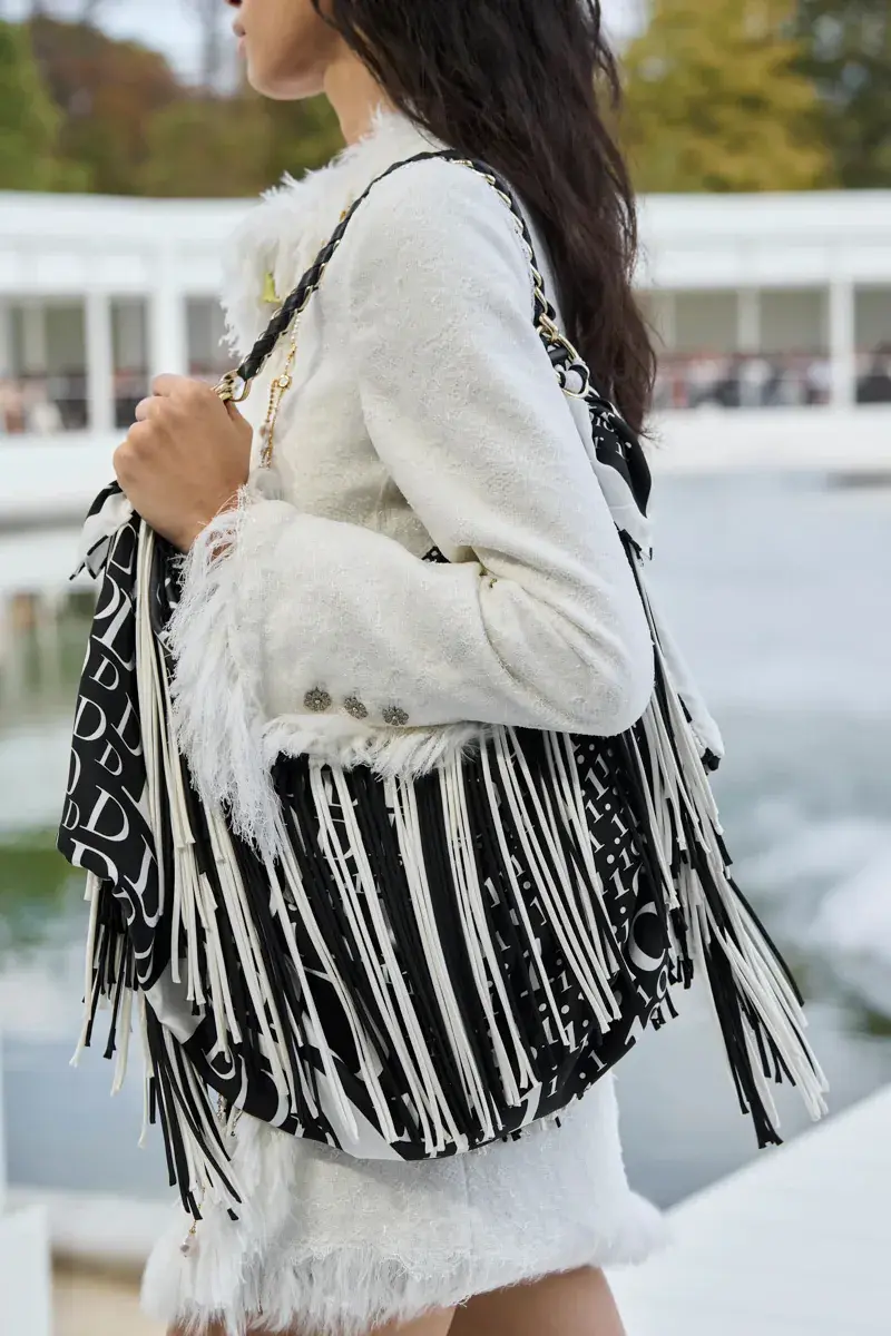 Сумки Dior Spring 2027 44