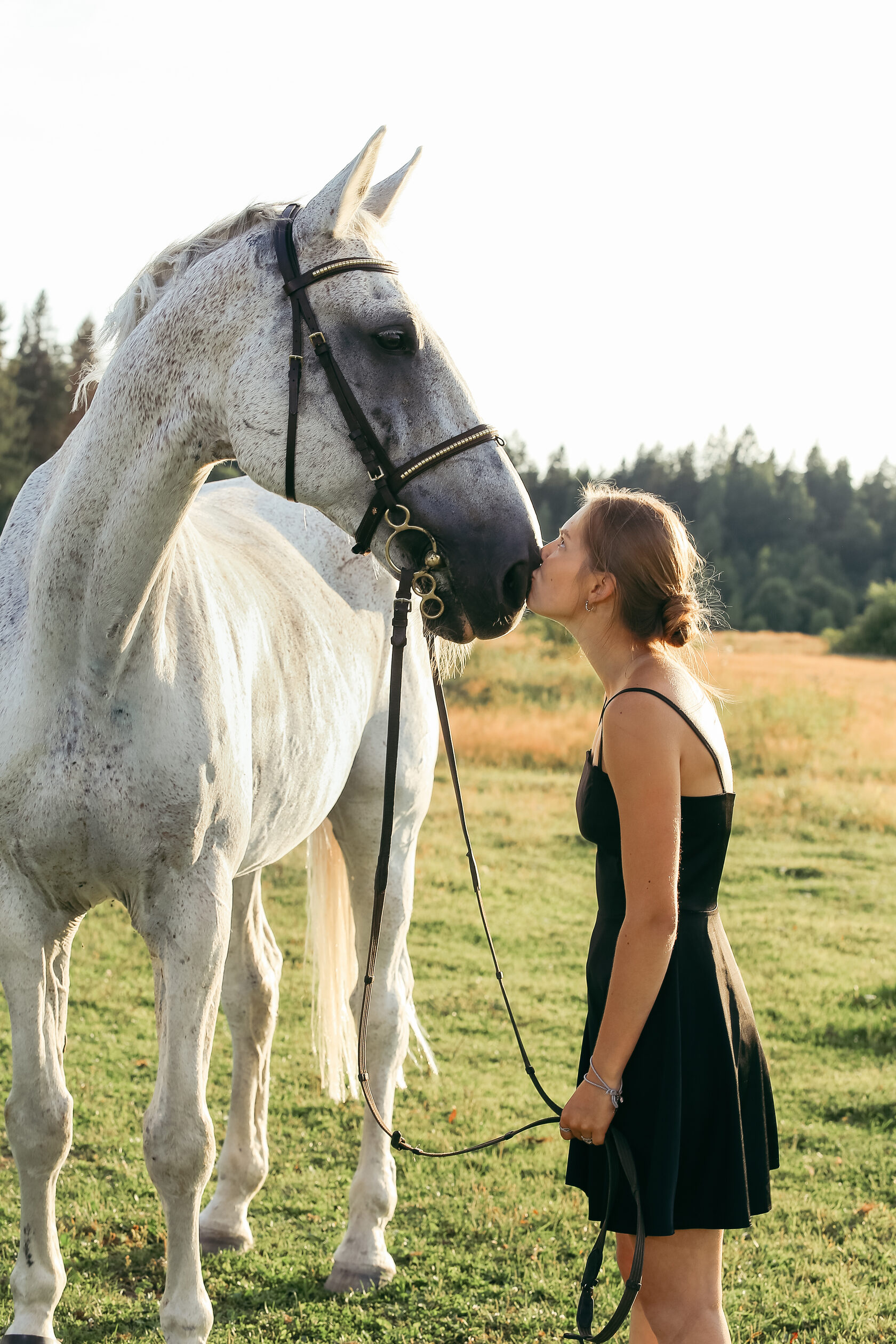 Лошадь по кличке Гамин - энергичный и грациозный
