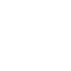 Портретная экспертиза