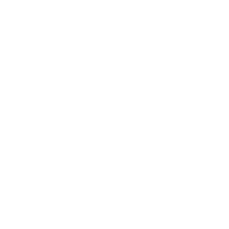 website icon
