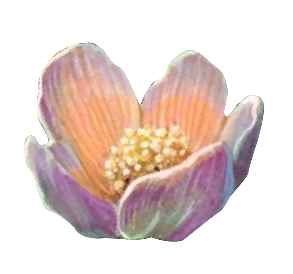 pink flower