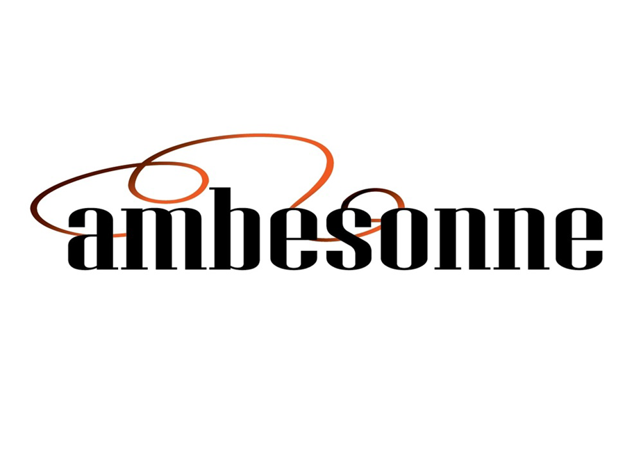Товарный знак Ambesonne