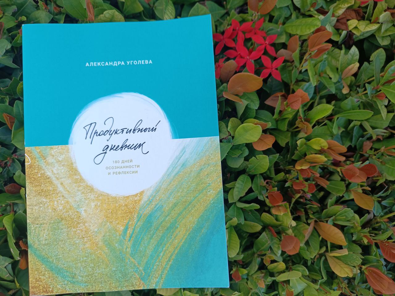 Настольный календарь «12 причин почему не сделали проект»