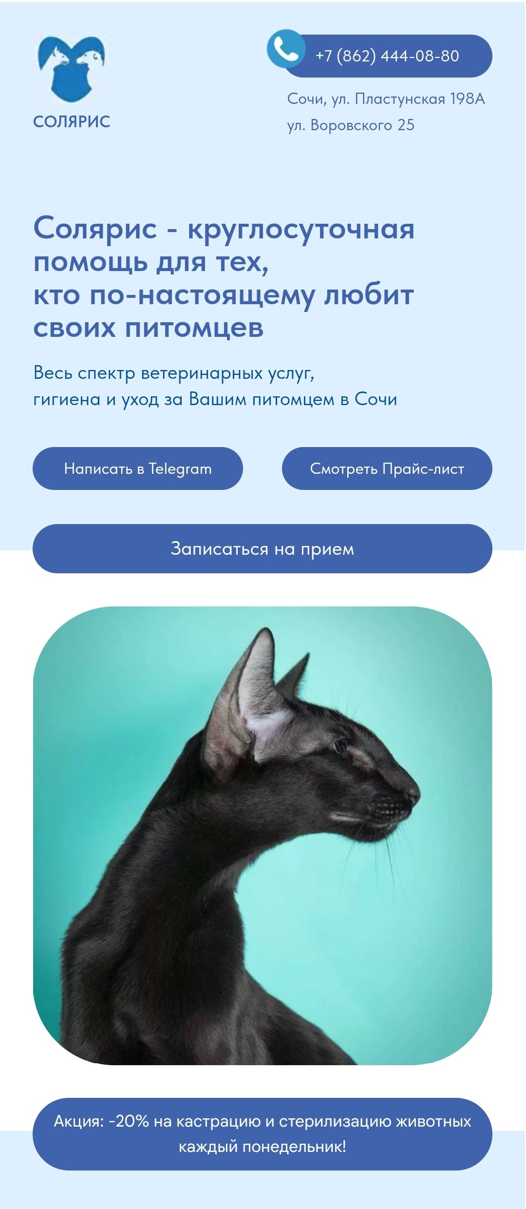 Главный экран мобильной версии сайта Solaris