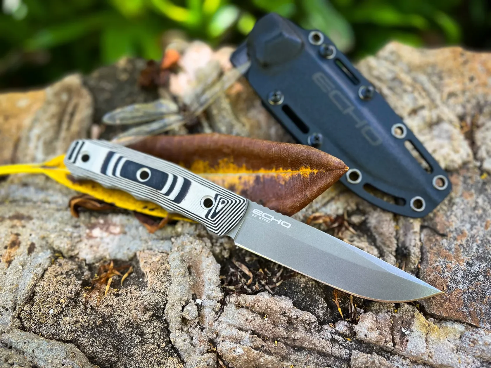 Kizlyar Supreme Echo knife with layered handle outdoors