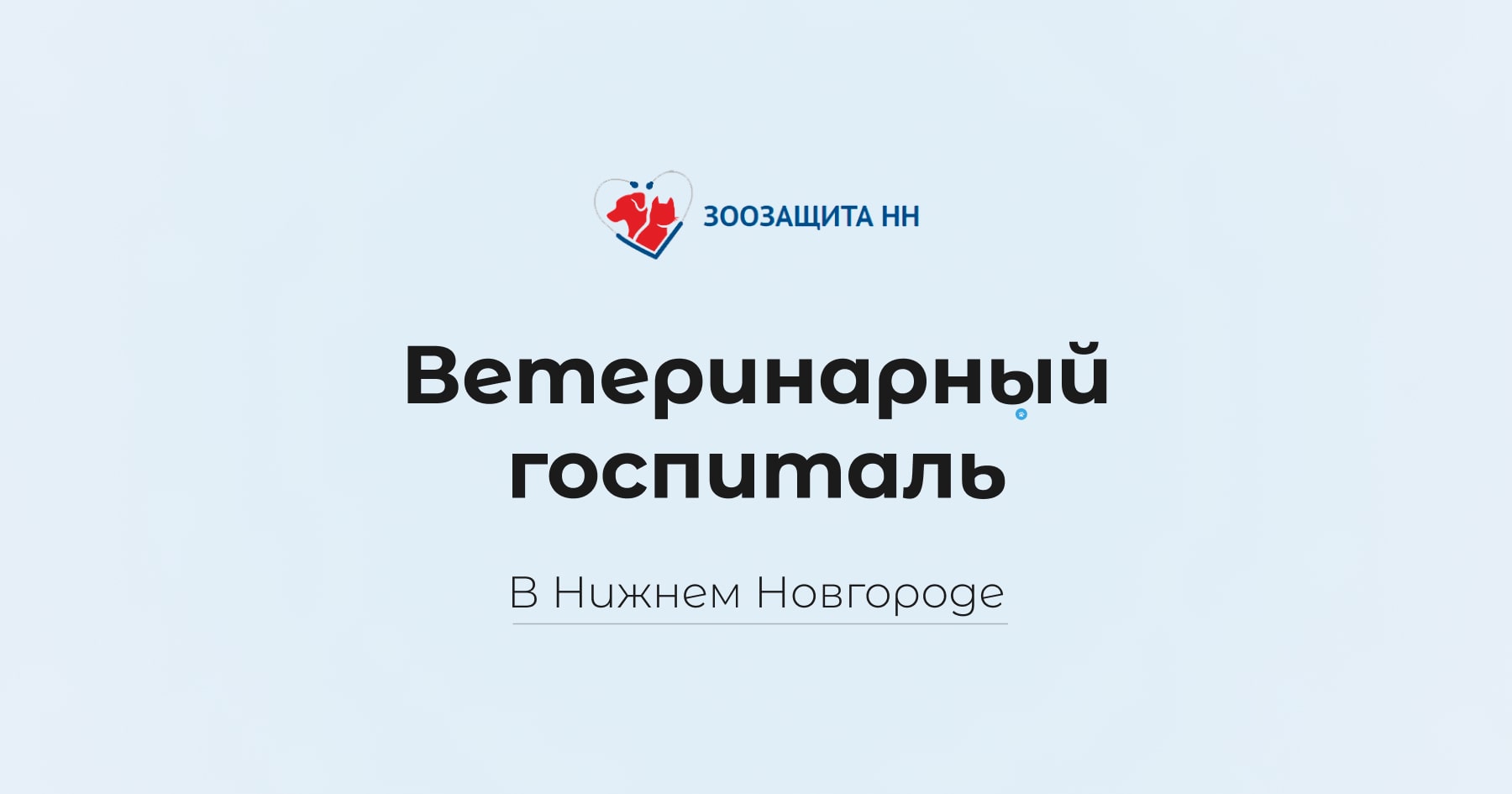 Ветеринарная рентгенография в Нижнем Новгороде | Зоозащита НН