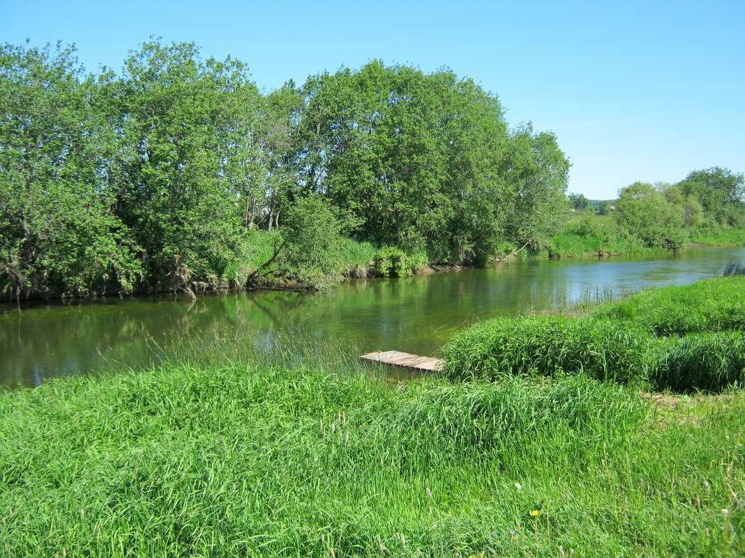 Река Устье Ярославская